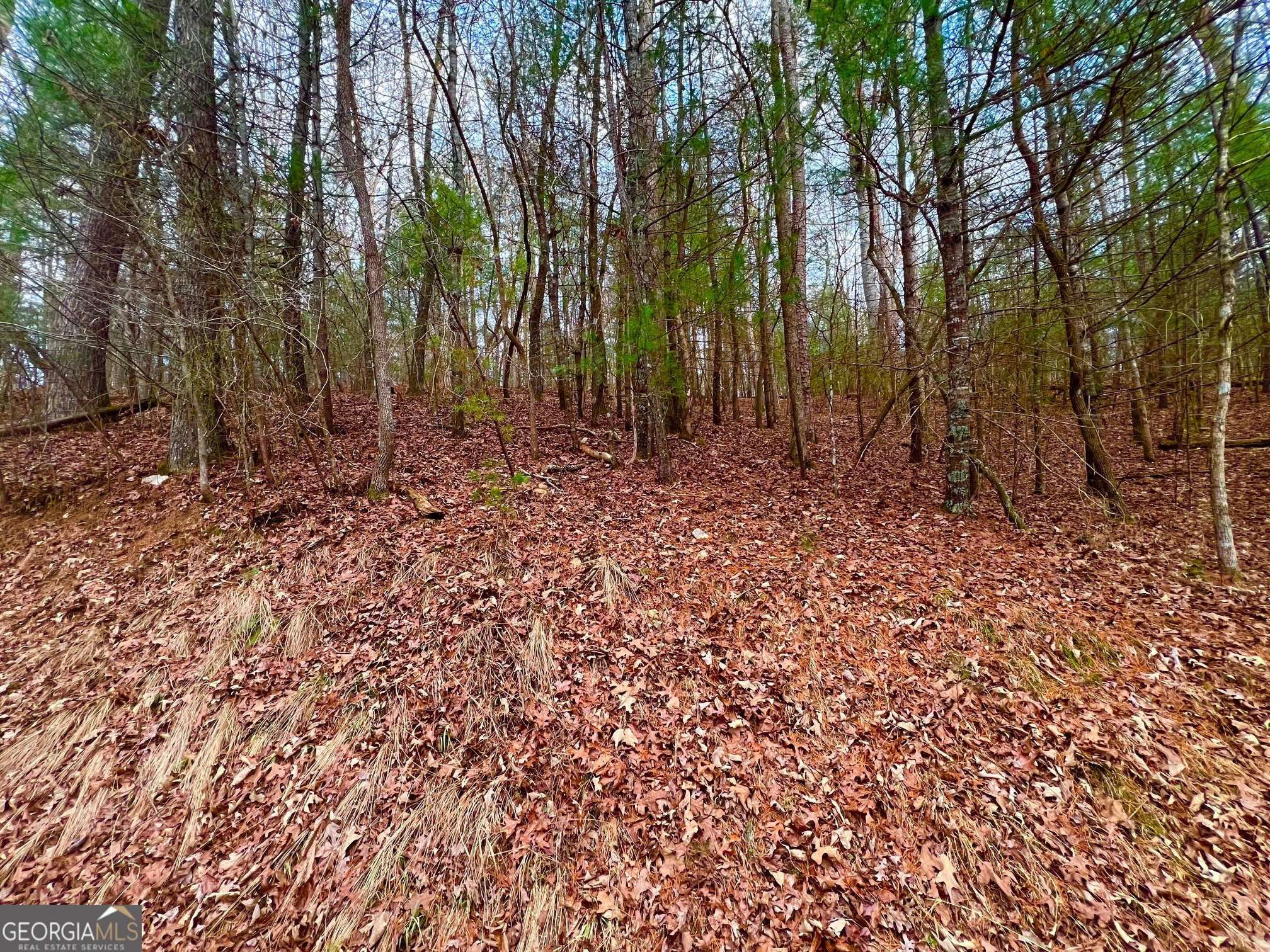 914 Villa Drive Ellijay GA 30540