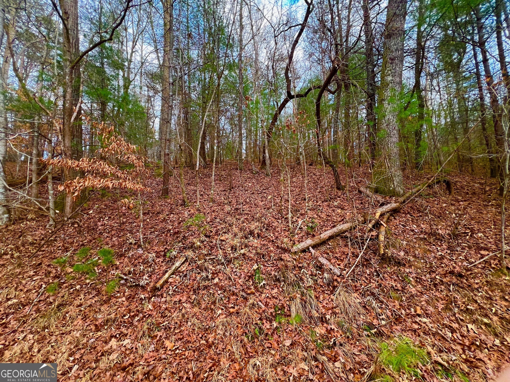 914 Villa Drive Ellijay GA 30540