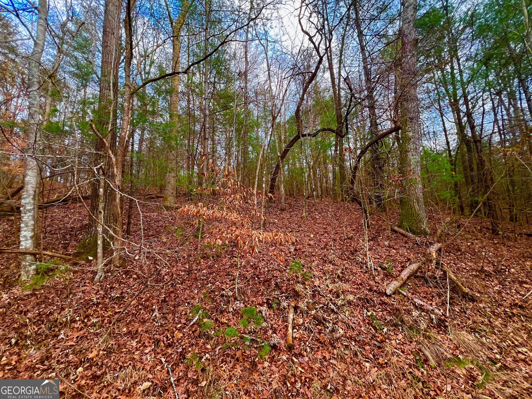 914 Villa Drive Ellijay GA 30540