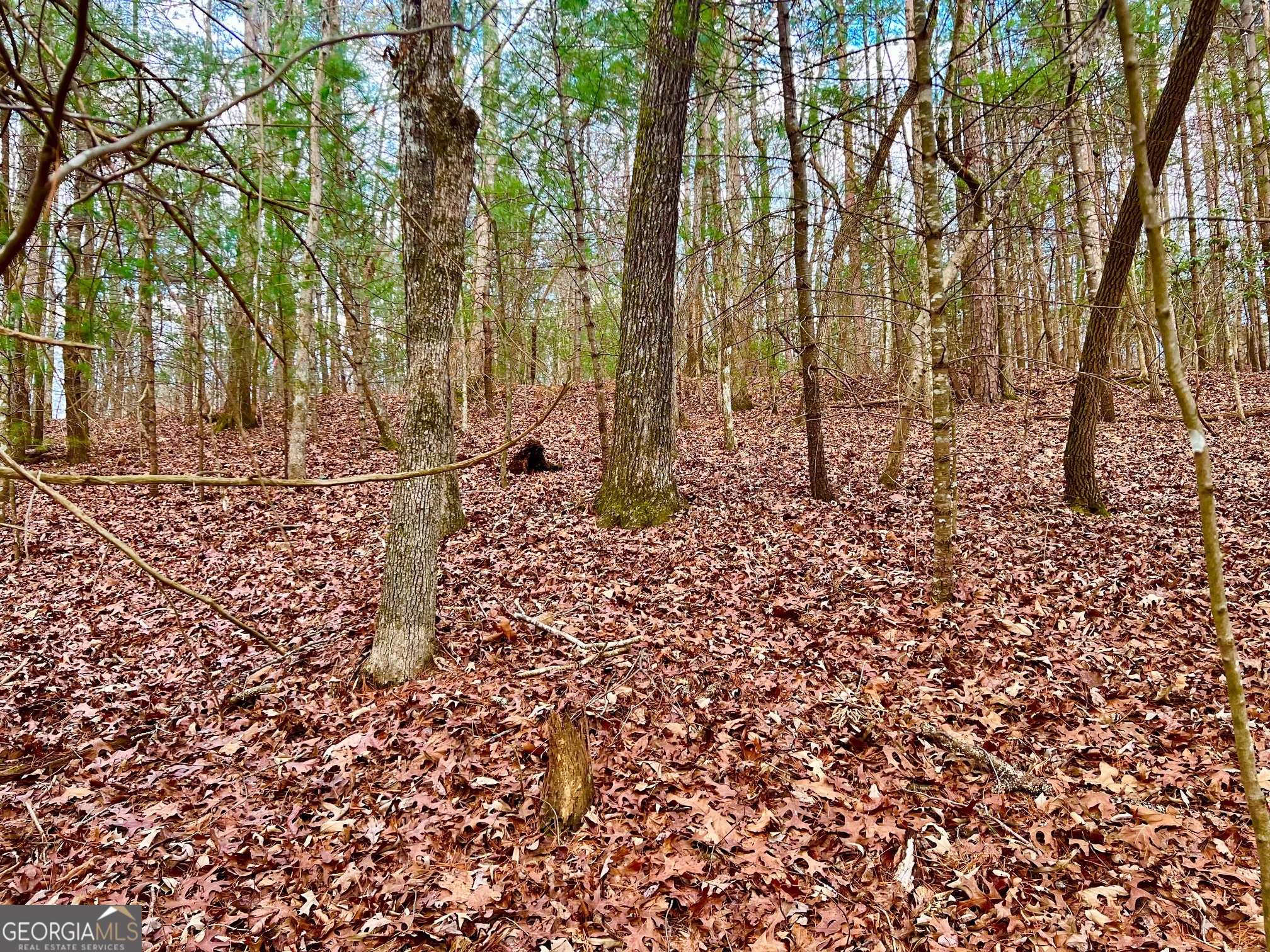 914 Villa Drive Ellijay GA 30540