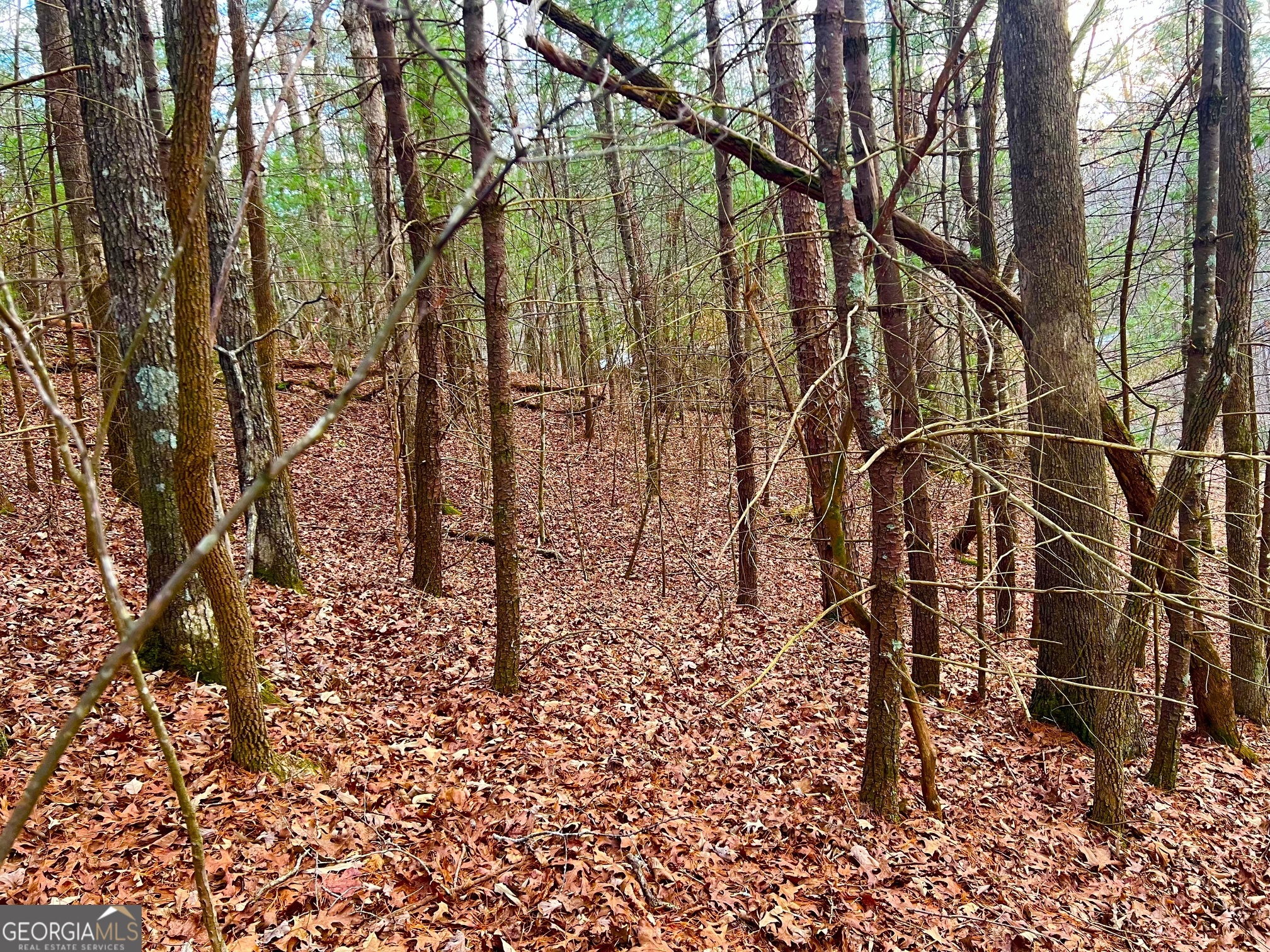 914 Villa Drive Ellijay GA 30540