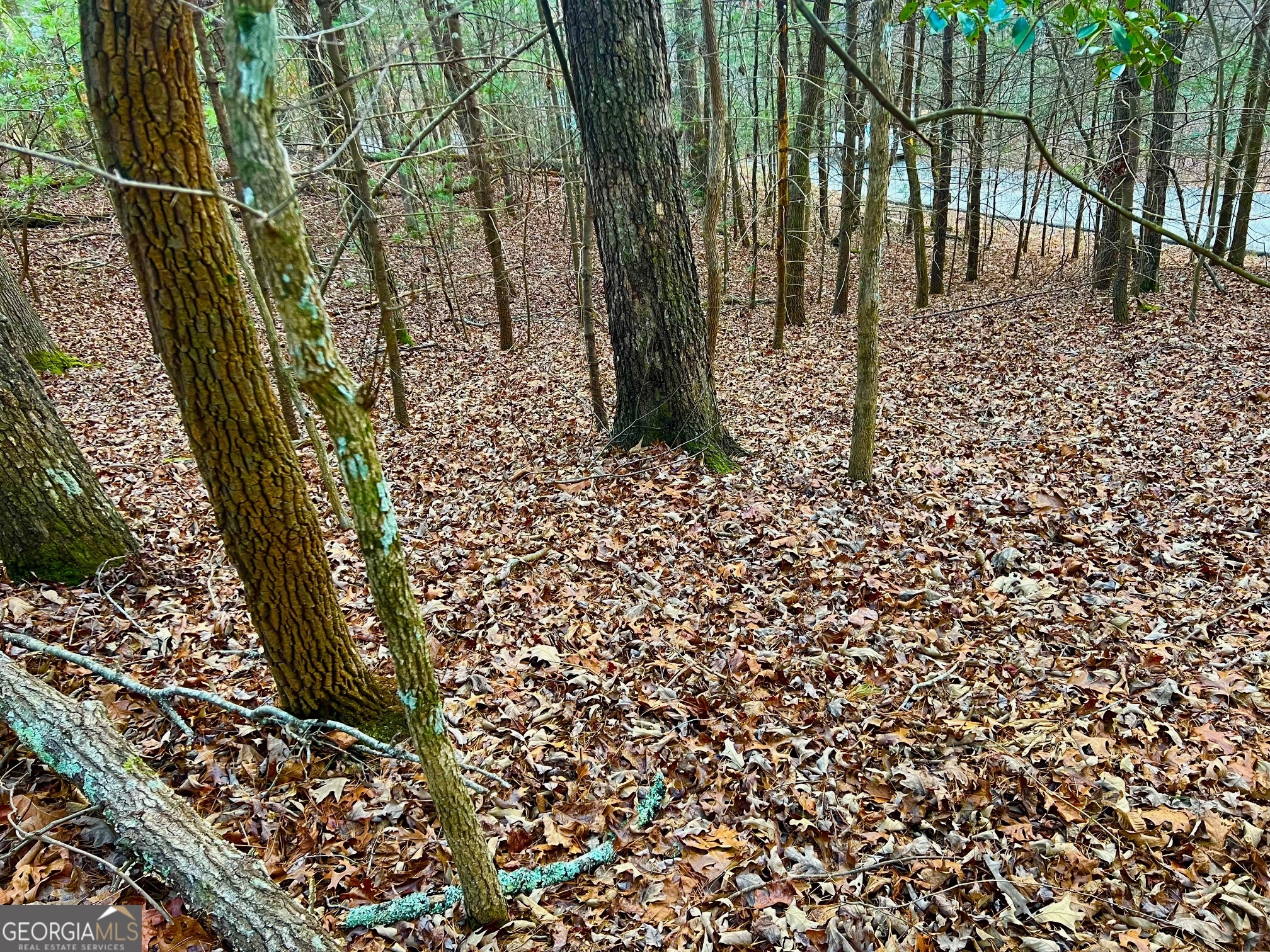 914 Villa Drive Ellijay GA 30540
