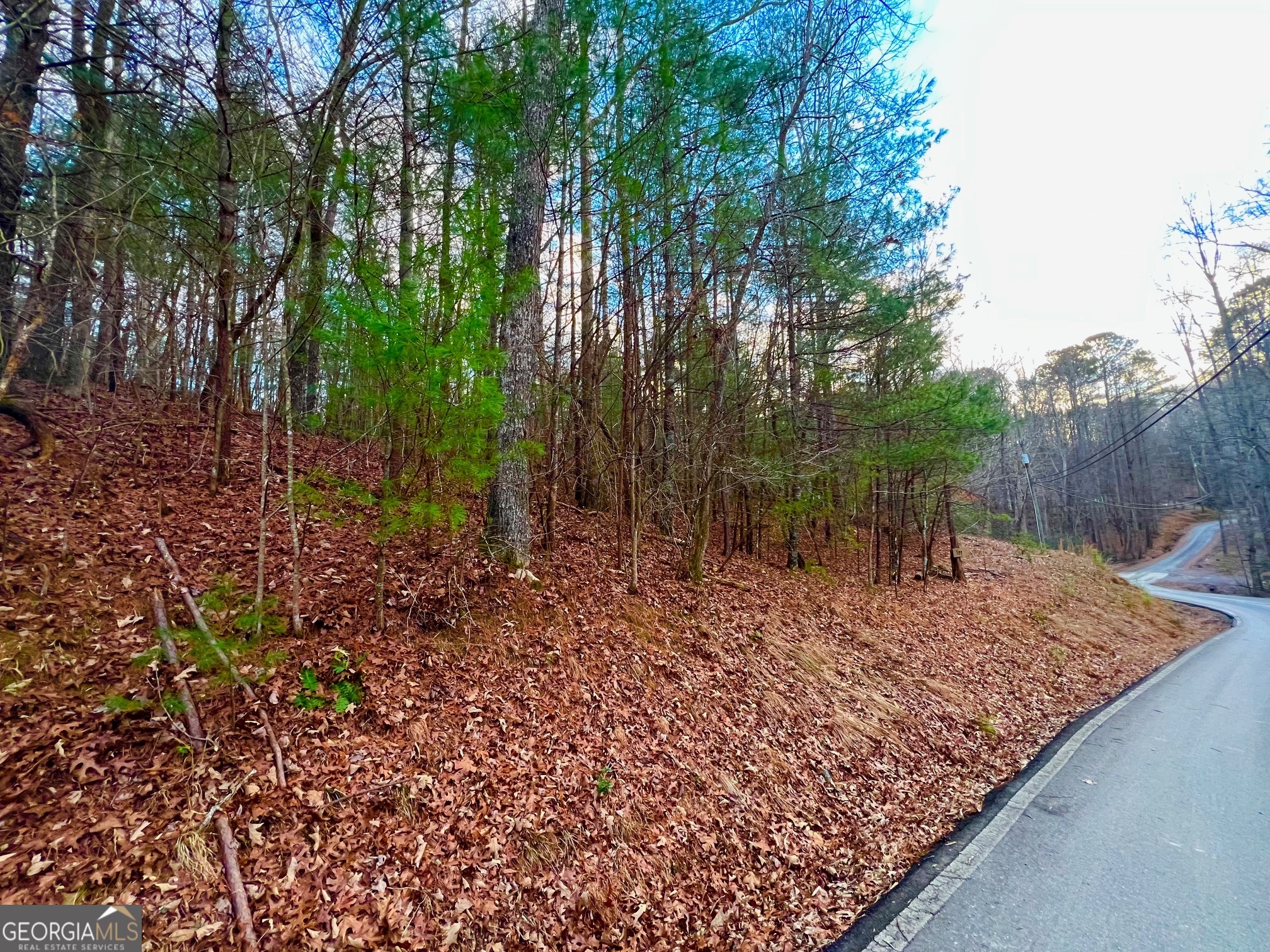 914 Villa Drive Ellijay GA 30540