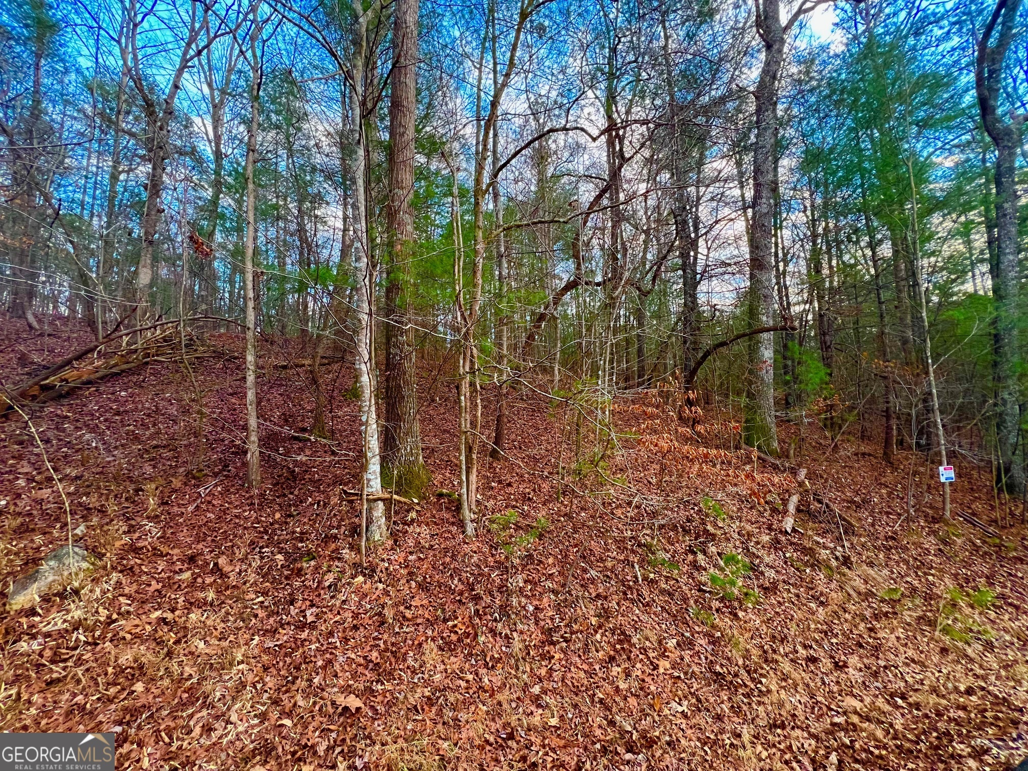 914 Villa Drive Ellijay GA 30540