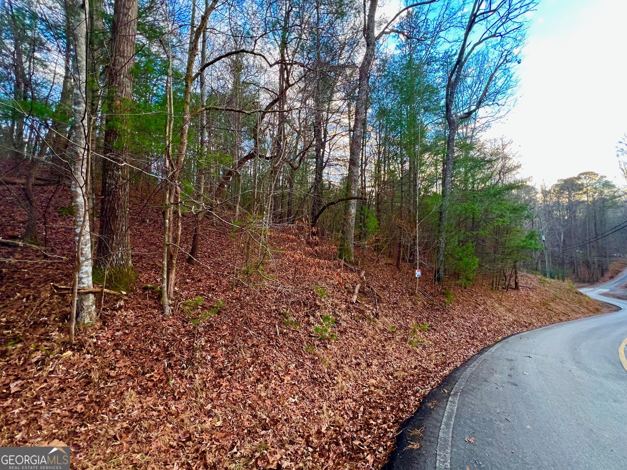 914 Villa Drive Ellijay GA 30540