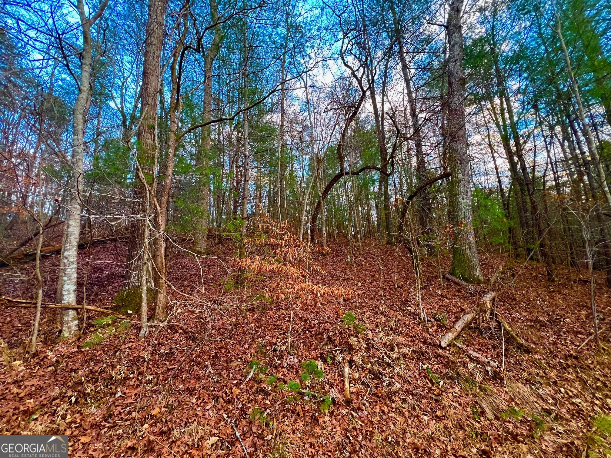 914 Villa Drive Ellijay GA 30540