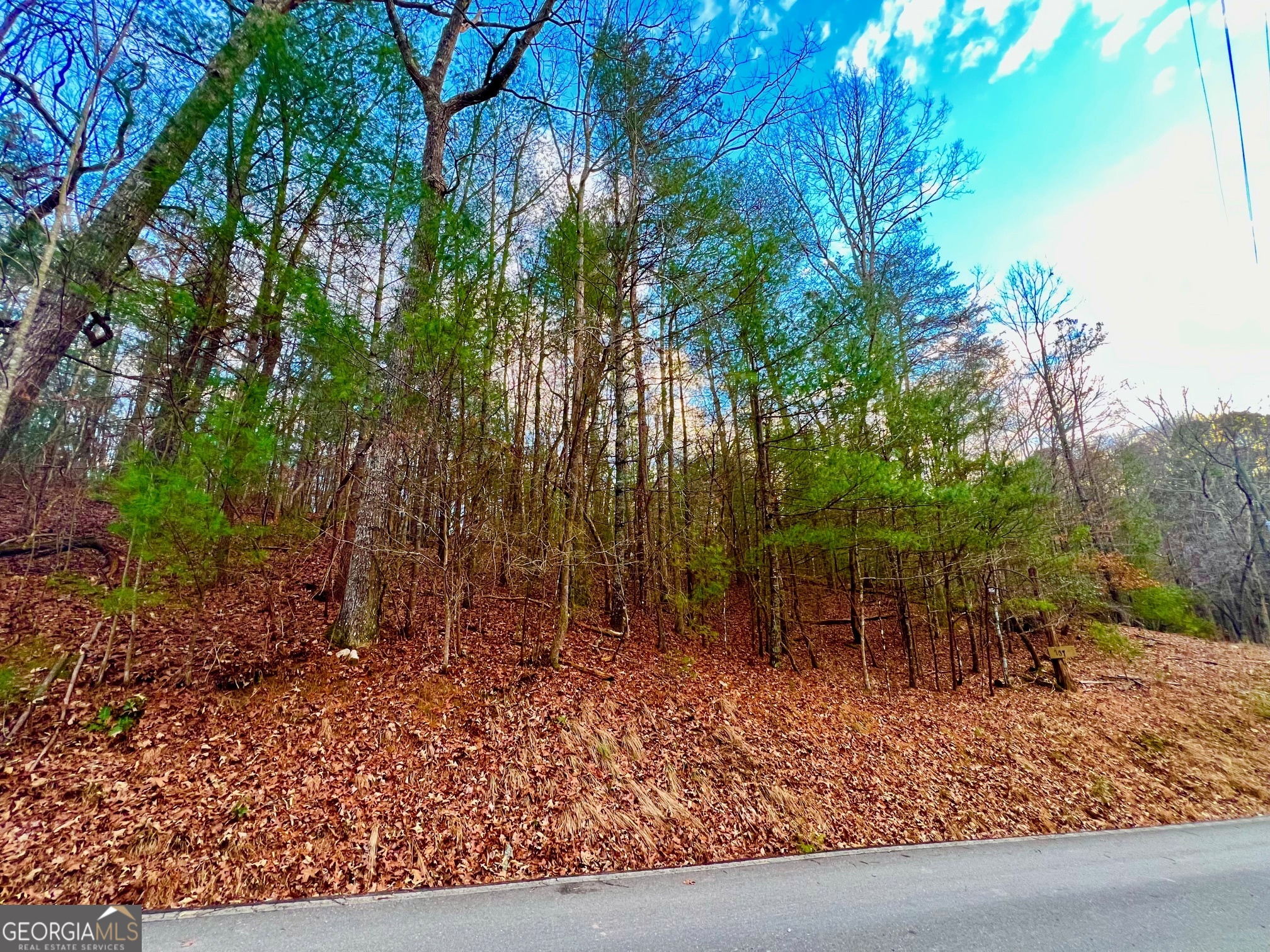 914 Villa Drive Ellijay GA 30540