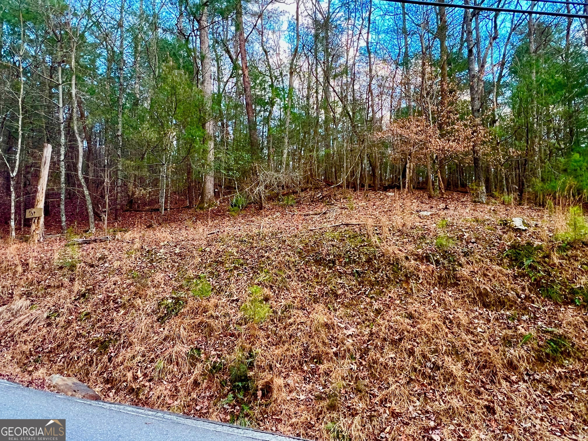 914 Villa Drive Ellijay GA 30540