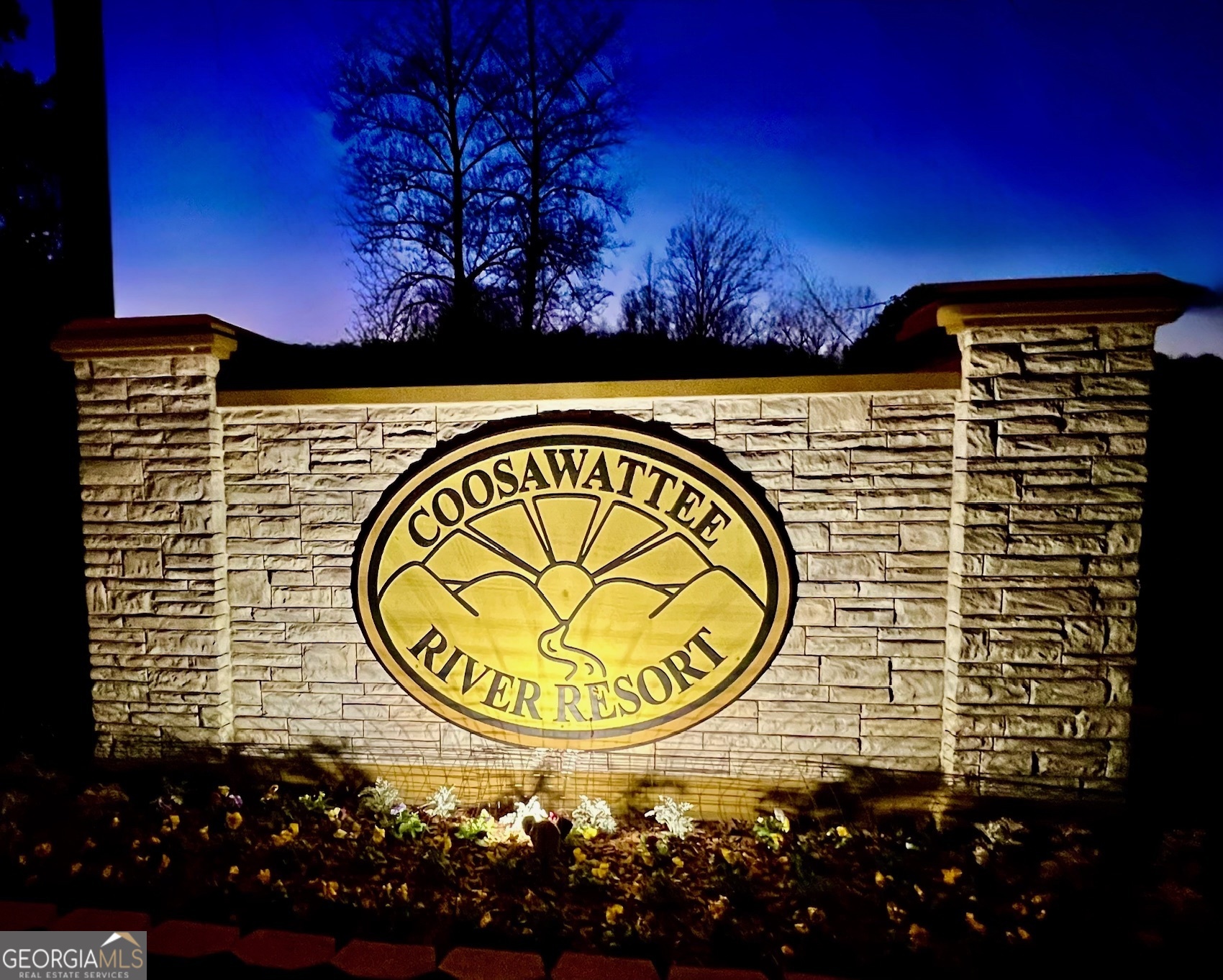 914 Villa Drive Ellijay GA 30540