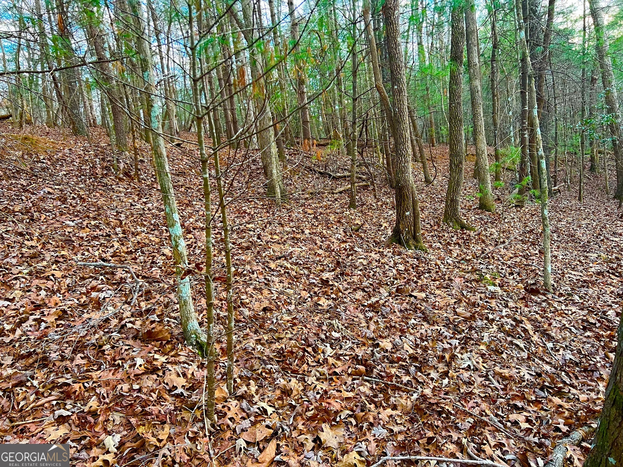 914 Villa Drive Ellijay GA 30540