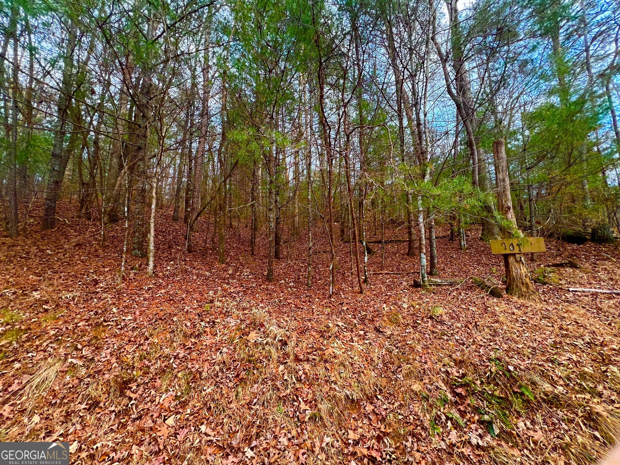 914 Villa Drive Ellijay GA 30540