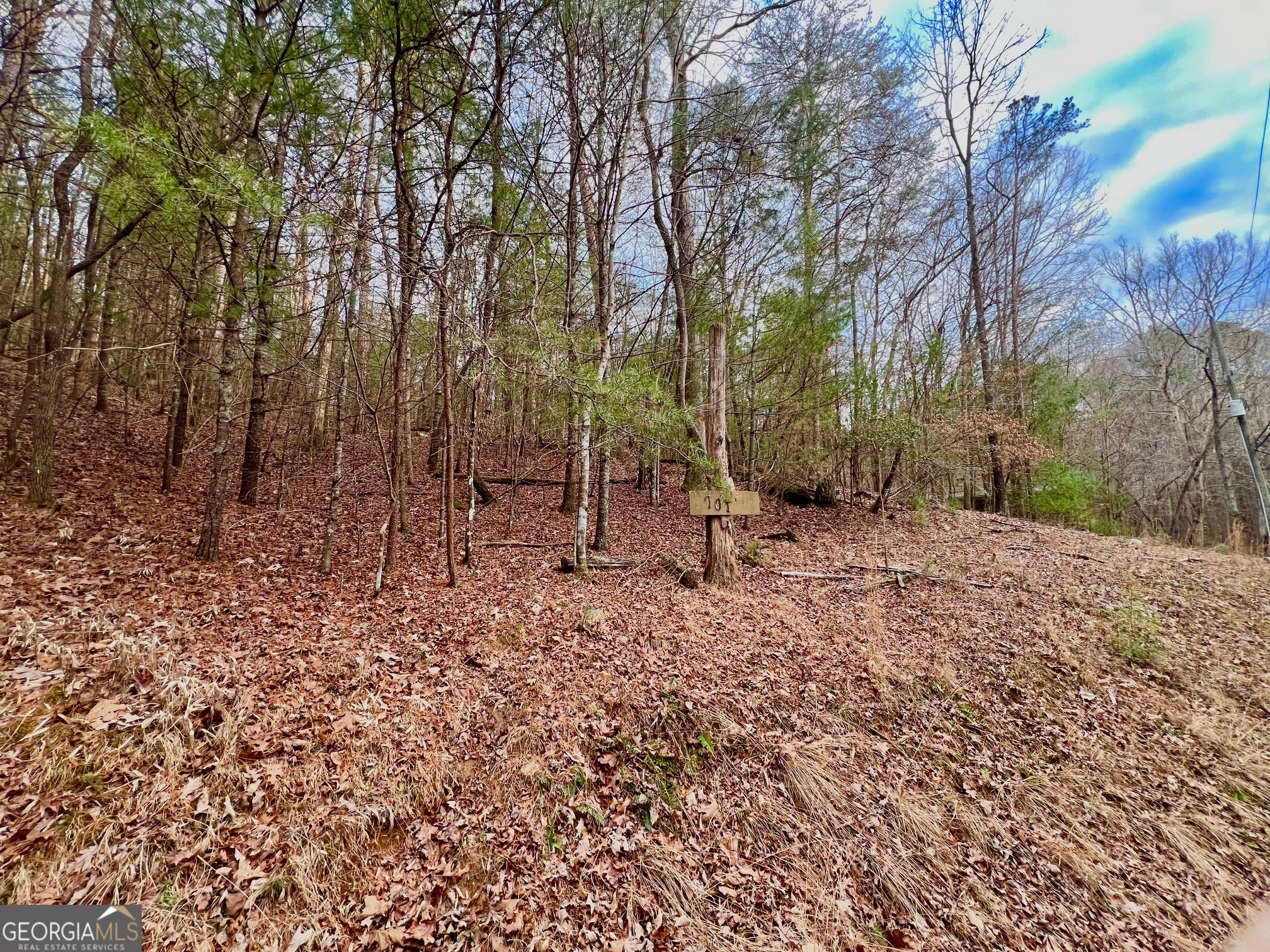 914 Villa Drive Ellijay GA 30540