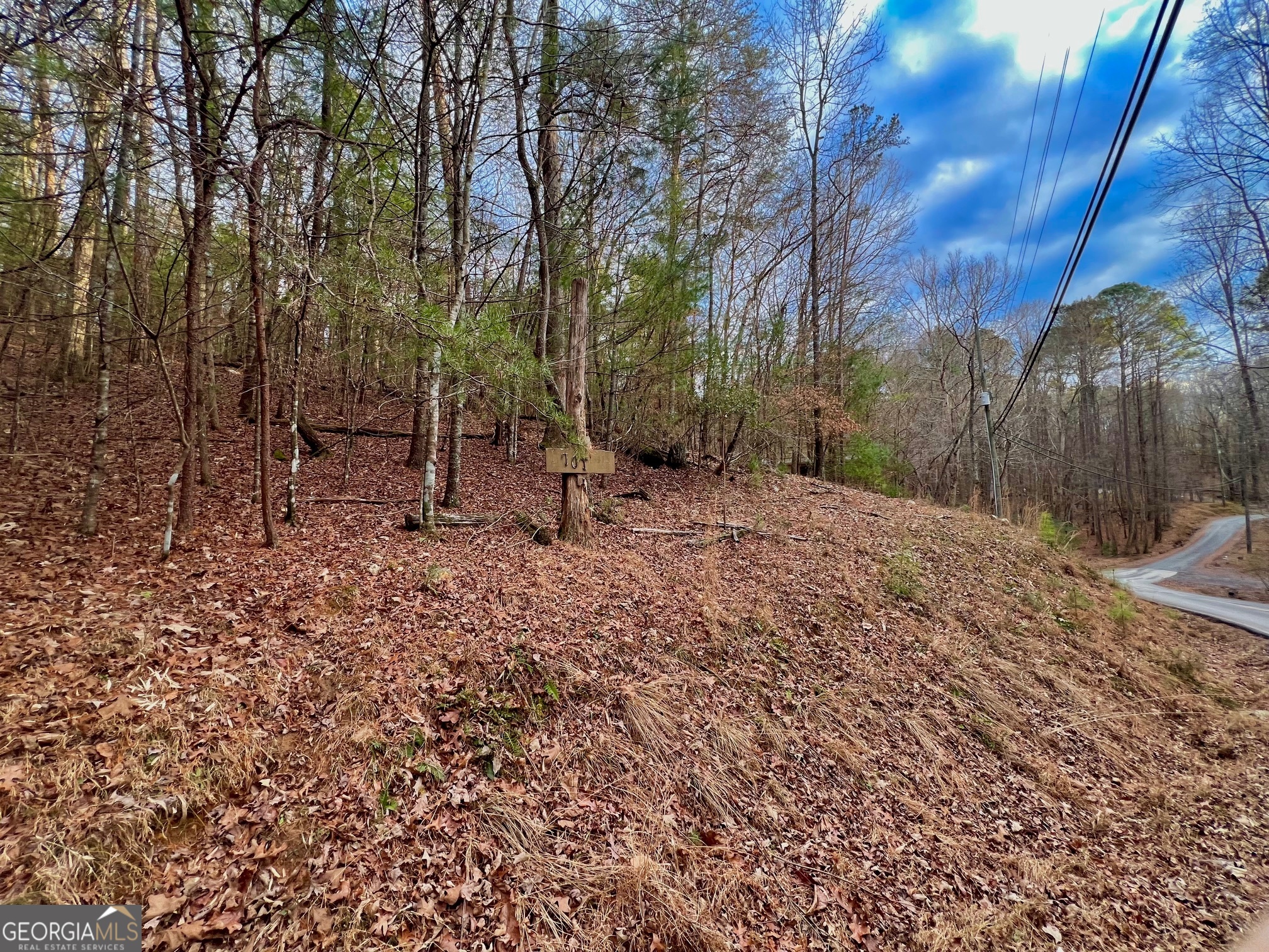 914 Villa Drive Ellijay GA 30540