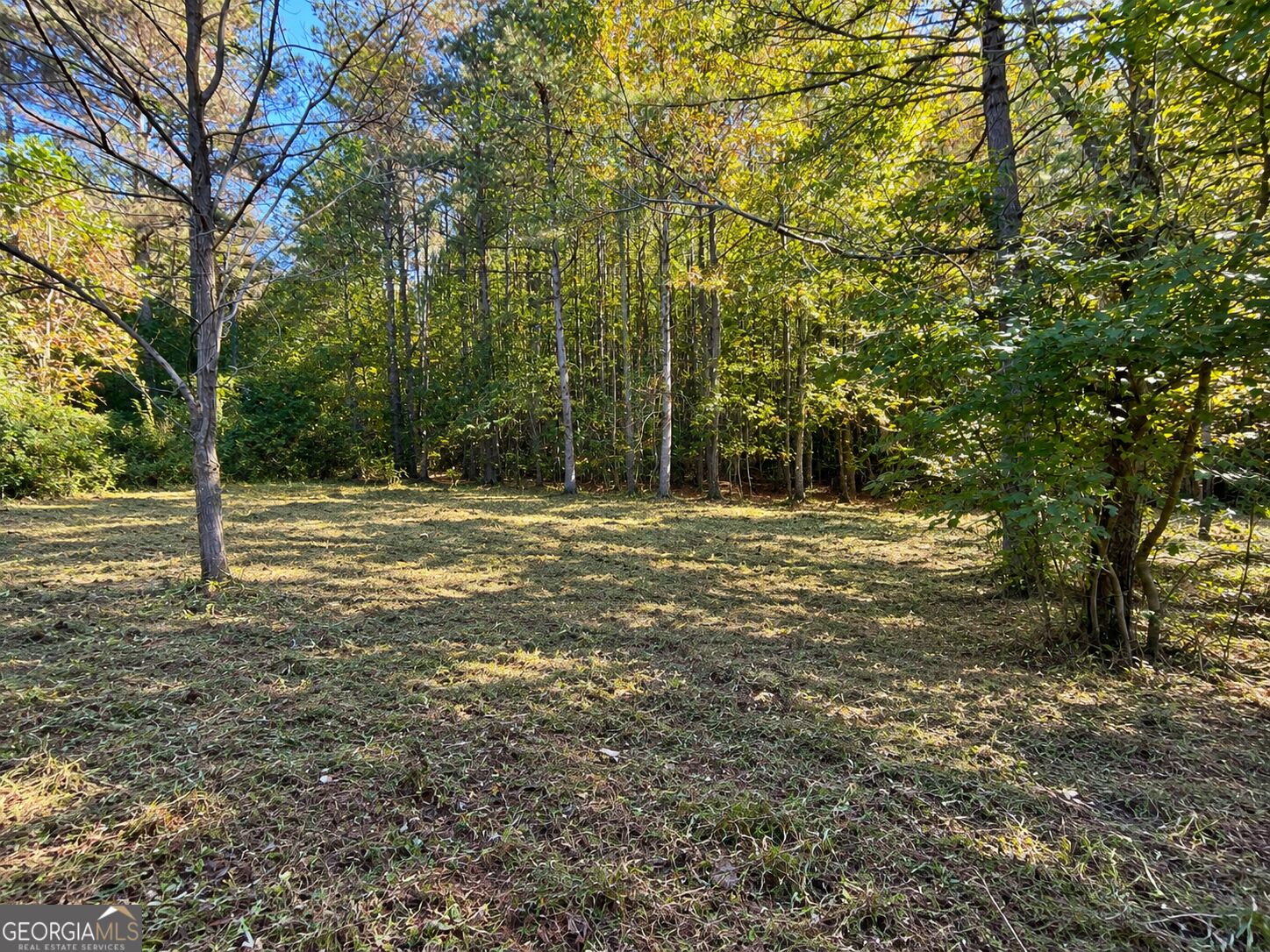 0 Eastside Drive Ellijay GA 30536