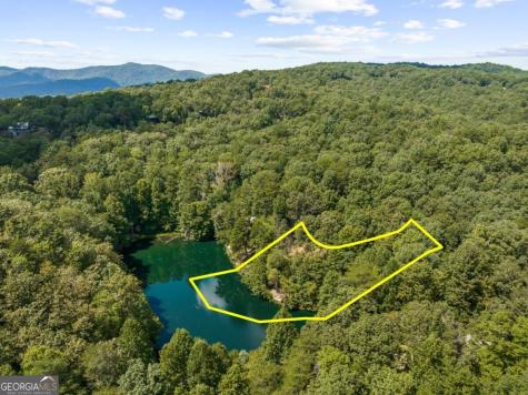 Lt 44&45 Overlook Drive Cherry Log GA 30522
