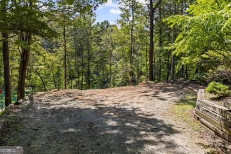 Lt 44&45 Overlook Drive Cherry Log GA 30522