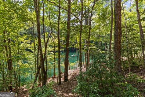 Lt 44&45 Overlook Drive Cherry Log GA 30522