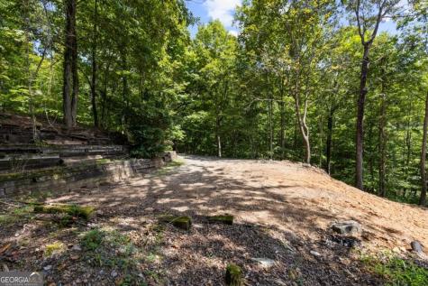 Lt 44&45 Overlook Drive Cherry Log GA 30522