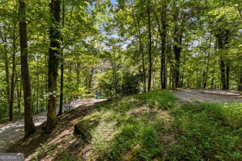 Lt 44&45 Overlook Drive Cherry Log GA 30522