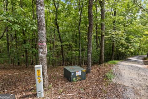 Lt 44&45 Overlook Drive Cherry Log GA 30522