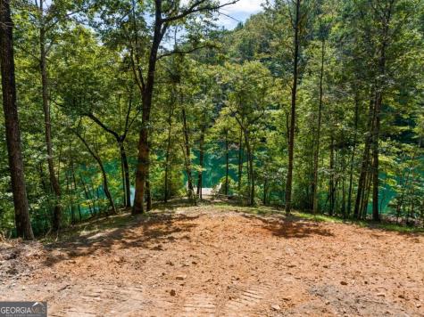 Lt 44&45 Overlook Drive Cherry Log GA 30522