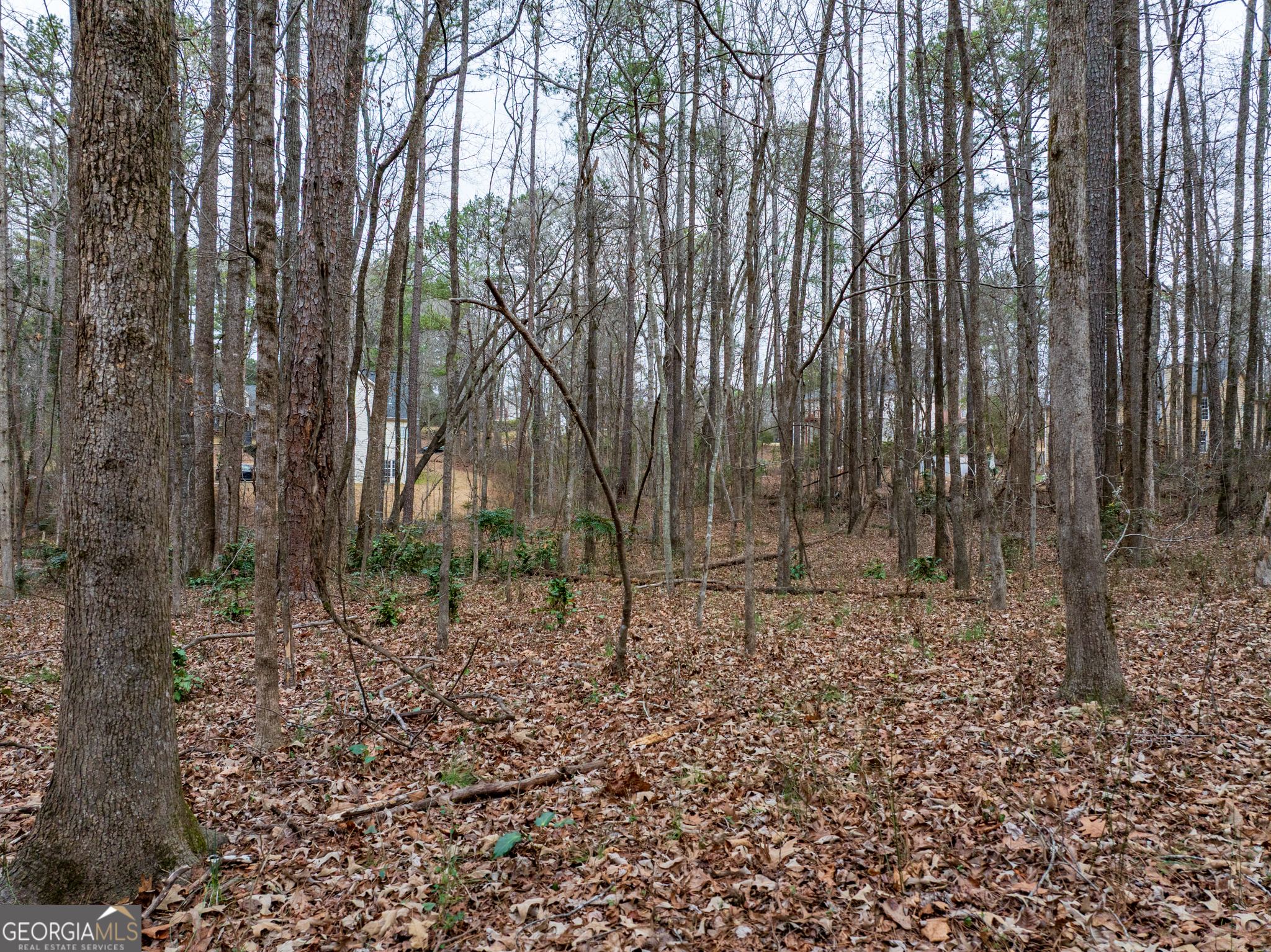 8.5 Acres Rockbridge Road S Stone Mountain GA 30087