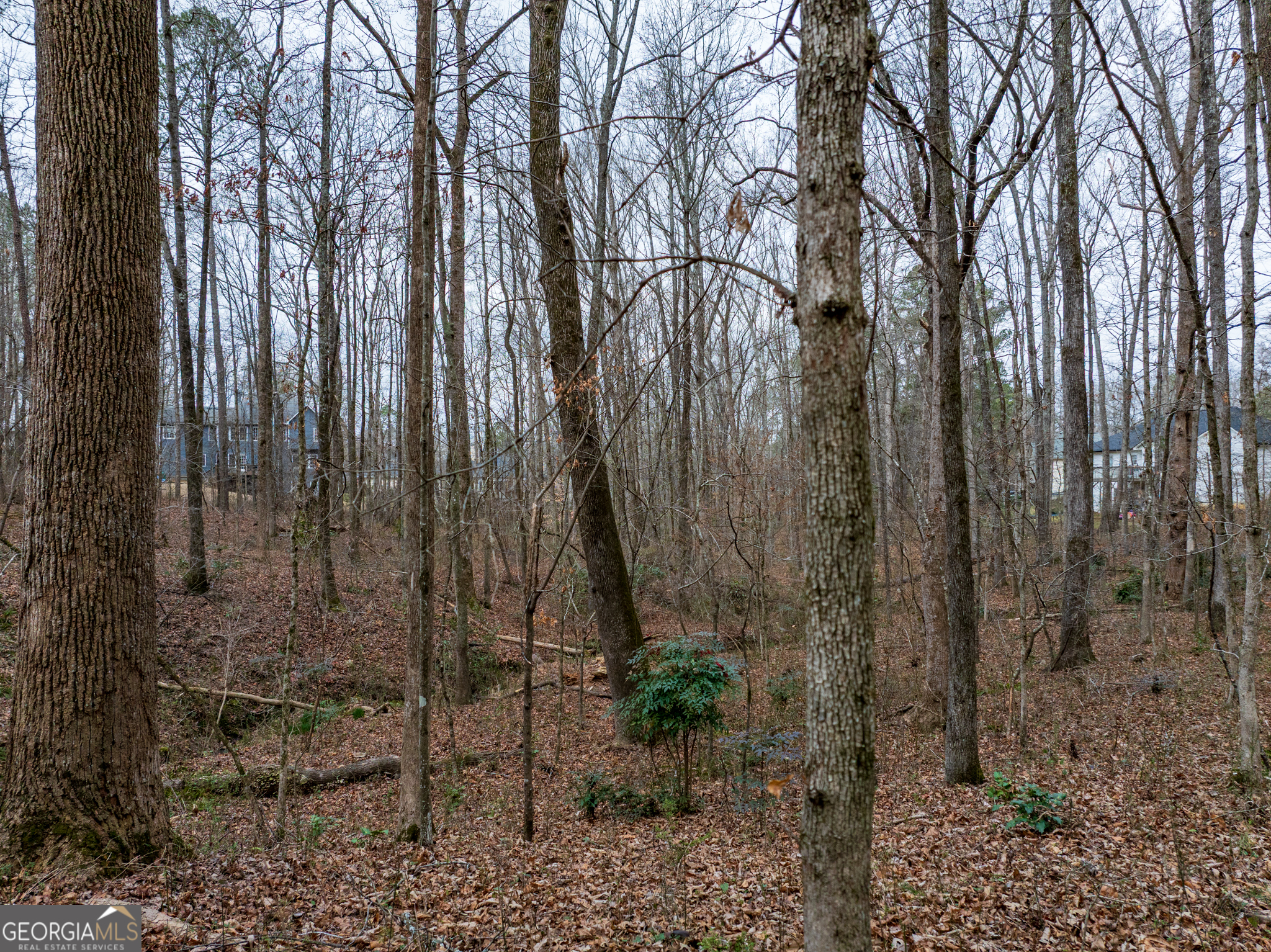 8.5 Acres Rockbridge Road S Stone Mountain GA 30087