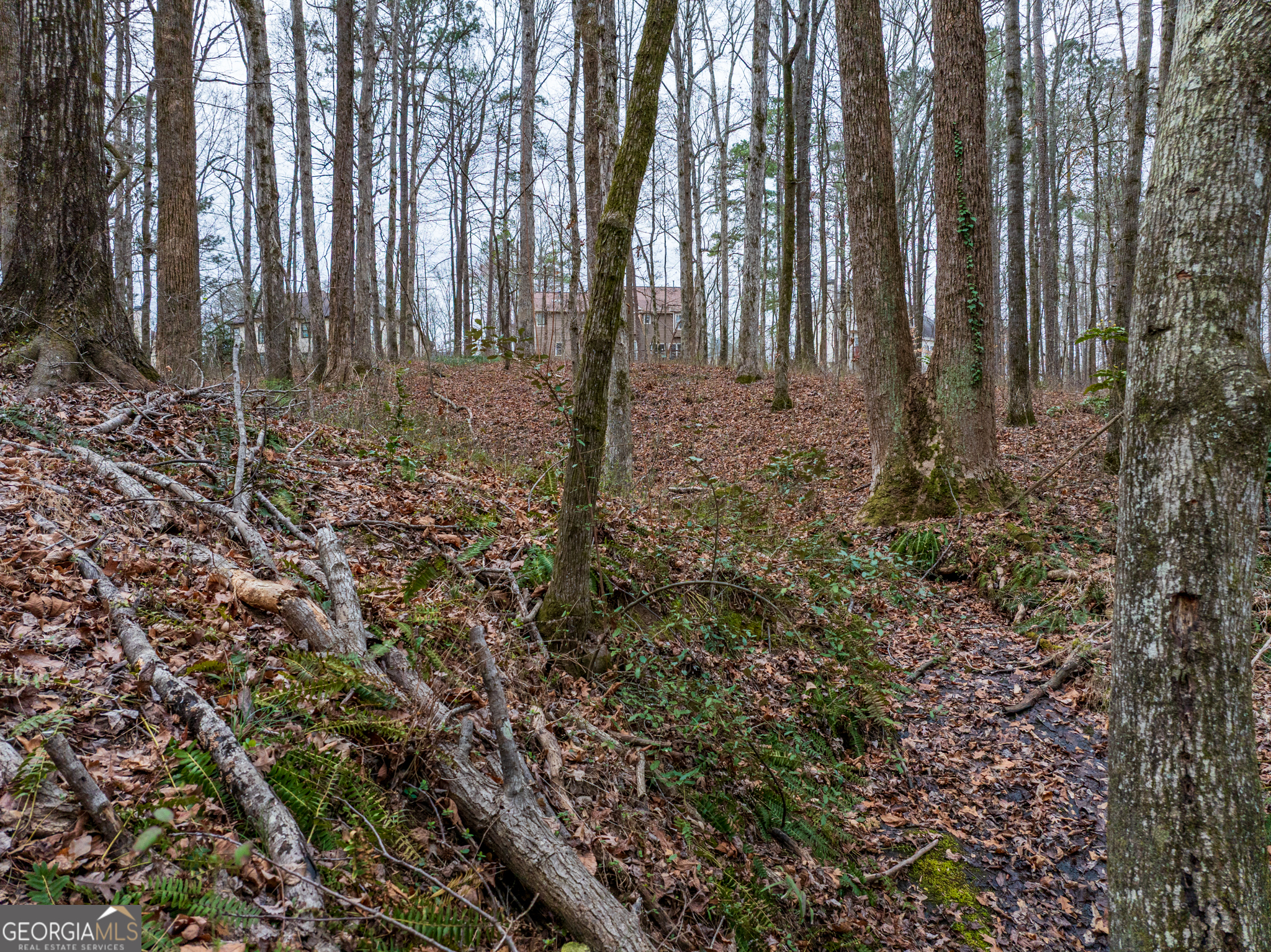 8.5 Acres Rockbridge Road S Stone Mountain GA 30087