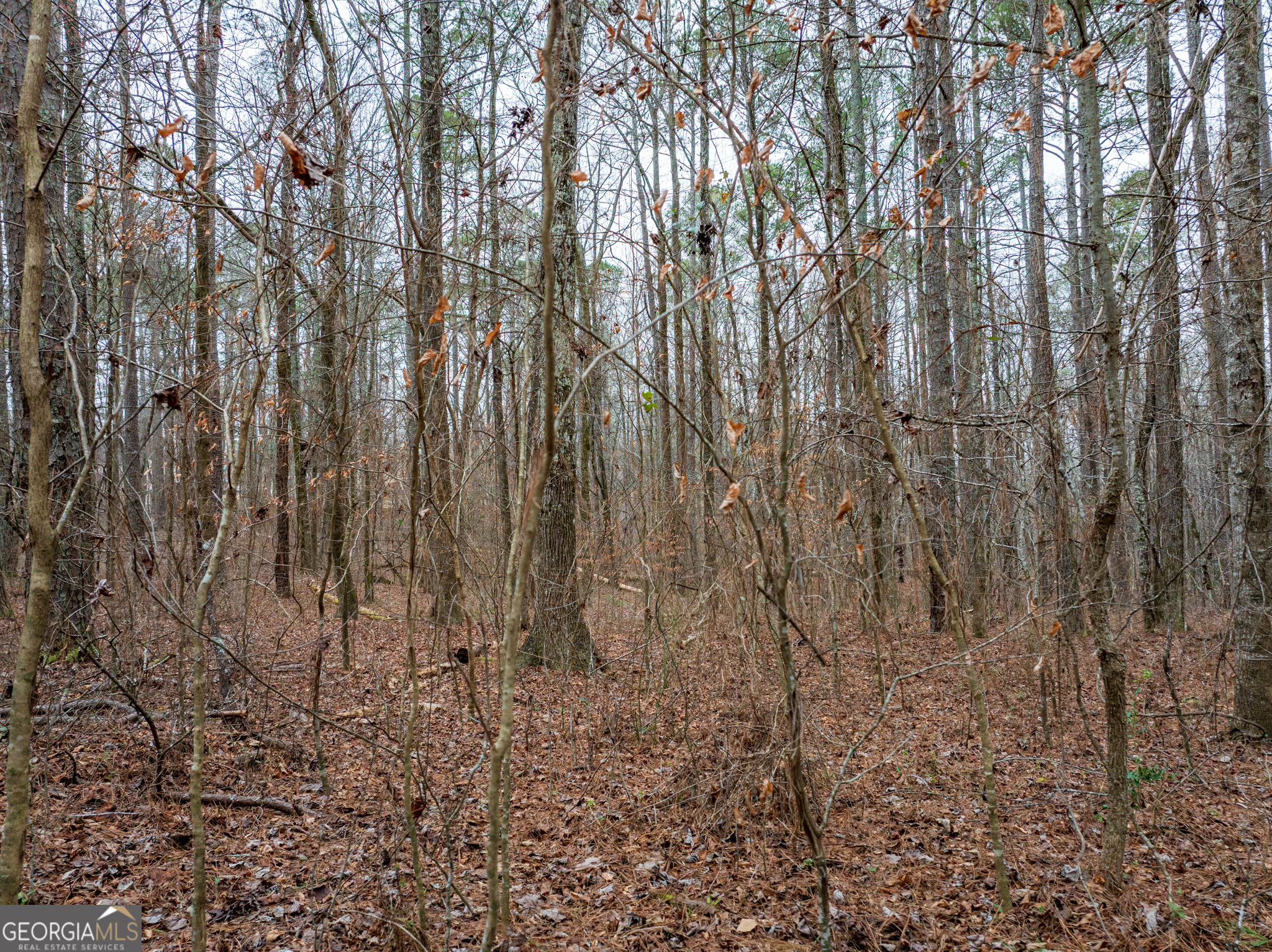 8.5 Acres Rockbridge Road S Stone Mountain GA 30087