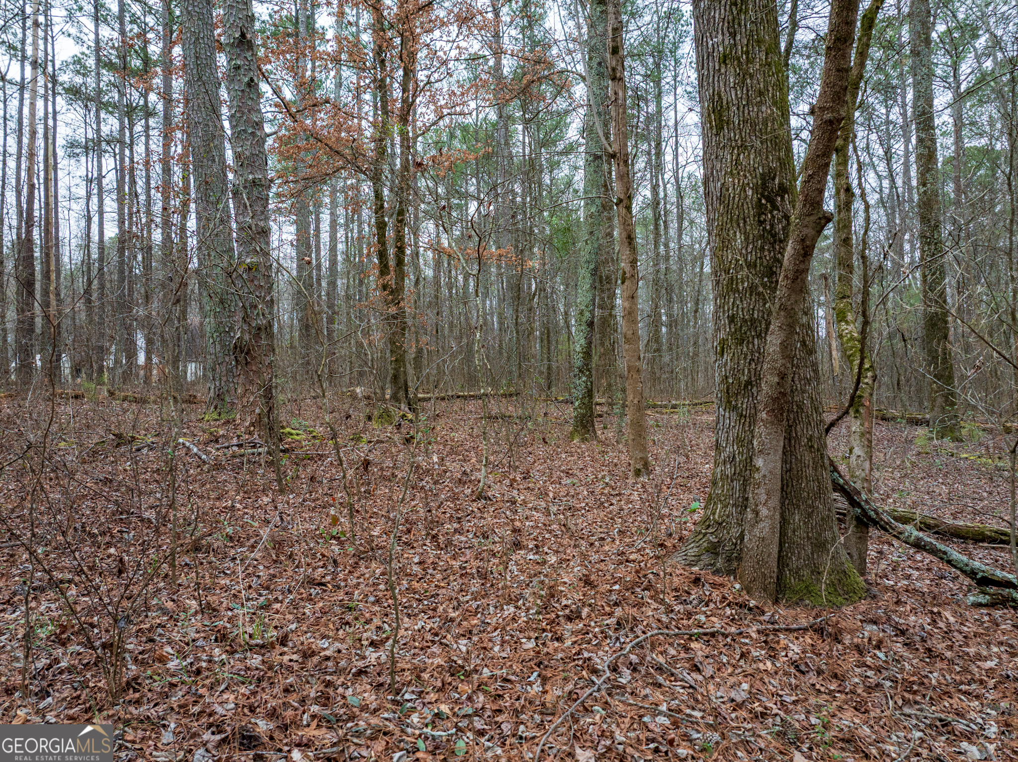 8.5 Acres Rockbridge Road S Stone Mountain GA 30087
