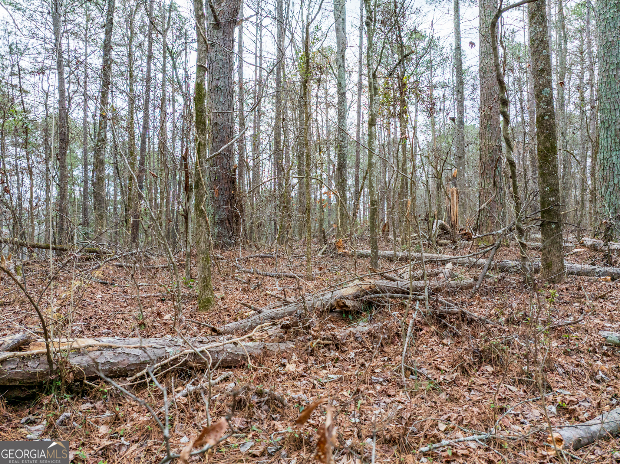 8.5 Acres Rockbridge Road S Stone Mountain GA 30087