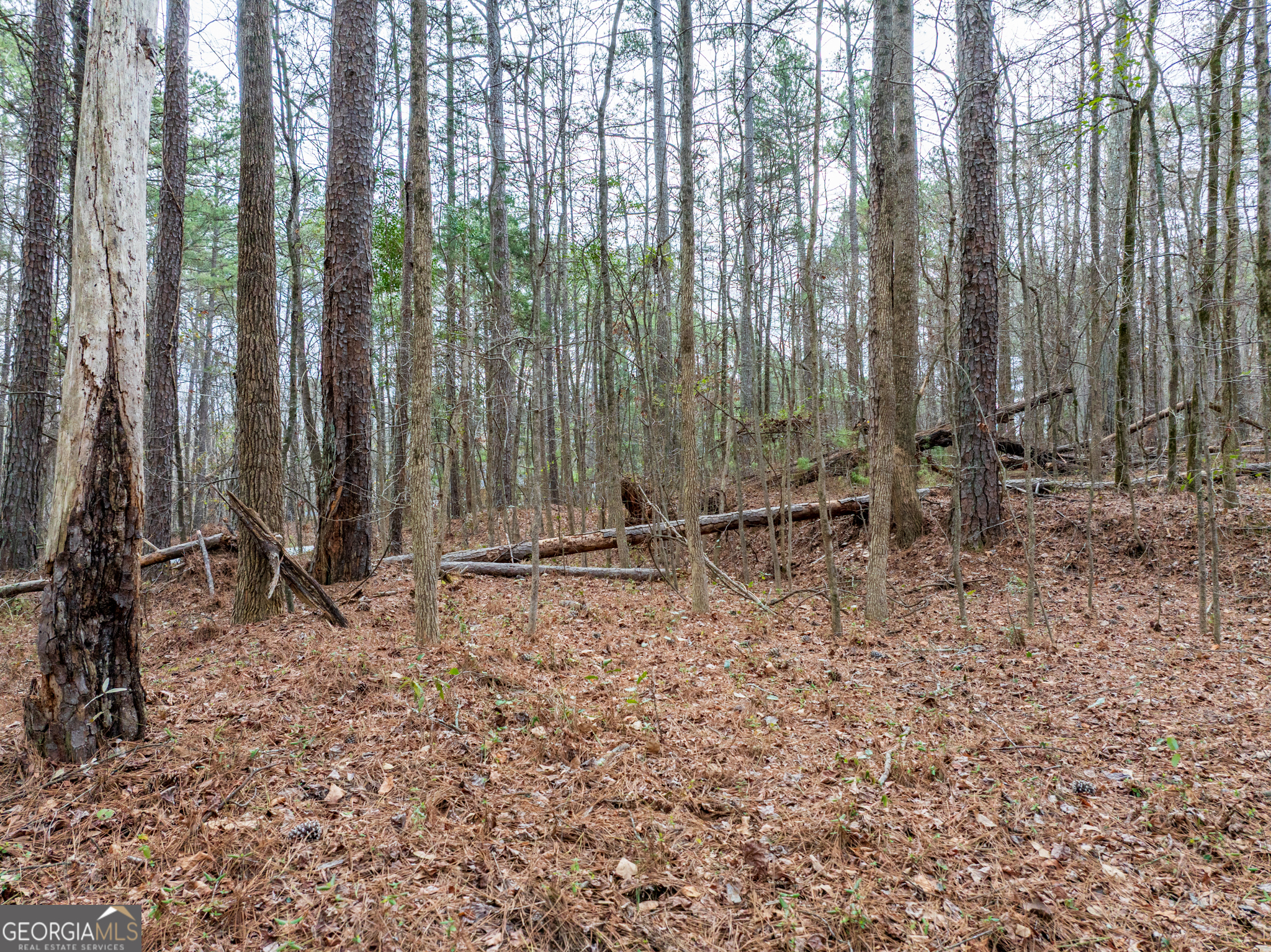 8.5 Acres Rockbridge Road S Stone Mountain GA 30087