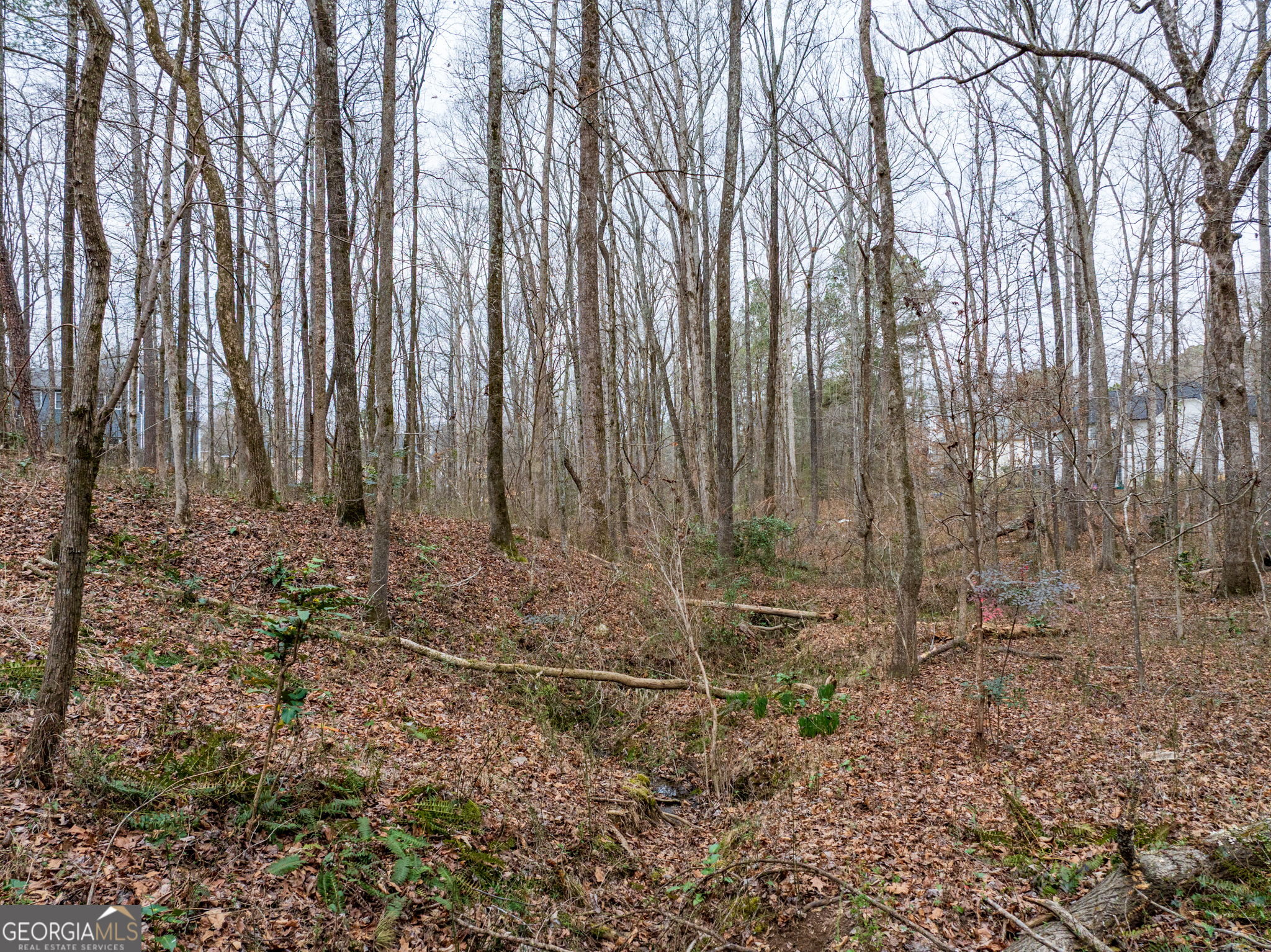 8.5 Acres Rockbridge Road S Stone Mountain GA 30087
