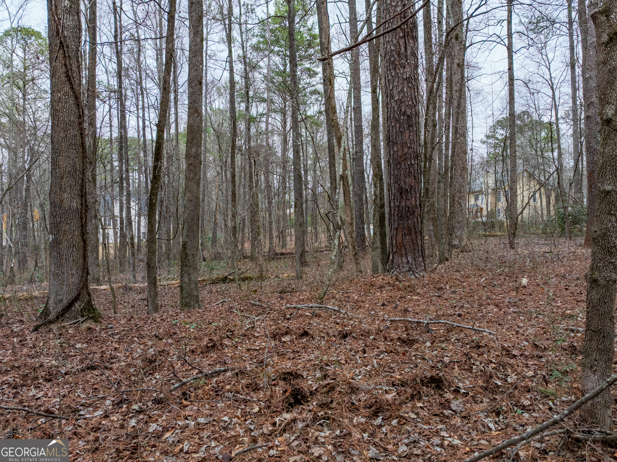 8.5 Acres Rockbridge Road S Stone Mountain GA 30087