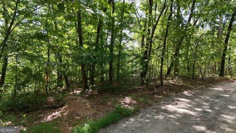 Lot 175 Mountain Crest Drive Clarkesville GA 30523