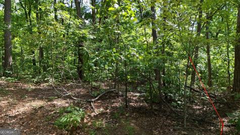 Lot 175 Mountain Crest Drive Clarkesville GA 30523