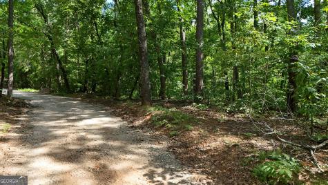 Lot 175 Mountain Crest Drive Clarkesville GA 30523