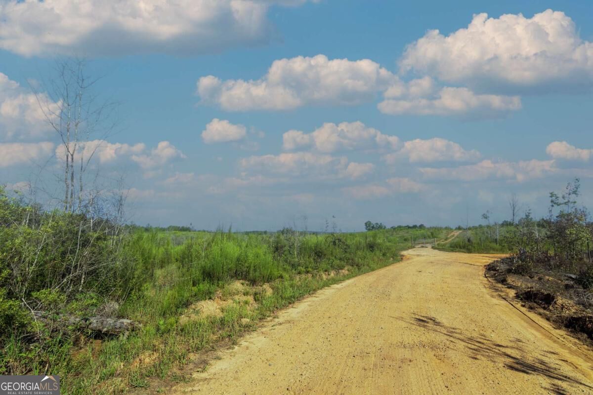 Tract 4 Highway 0036 Woodland GA 31836