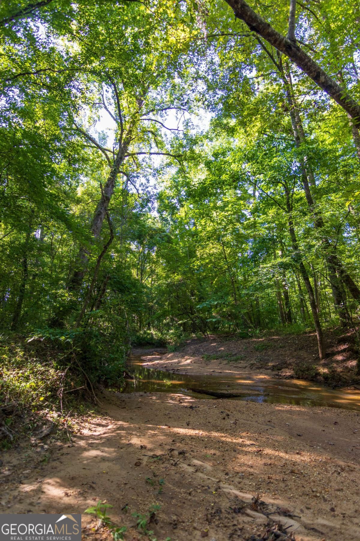 Tract 4 Highway 0036 Woodland GA 31836