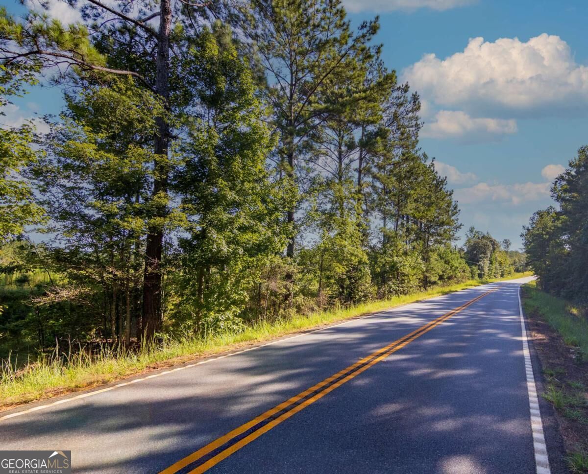 Tract 4 Highway 0036 Woodland GA 31836