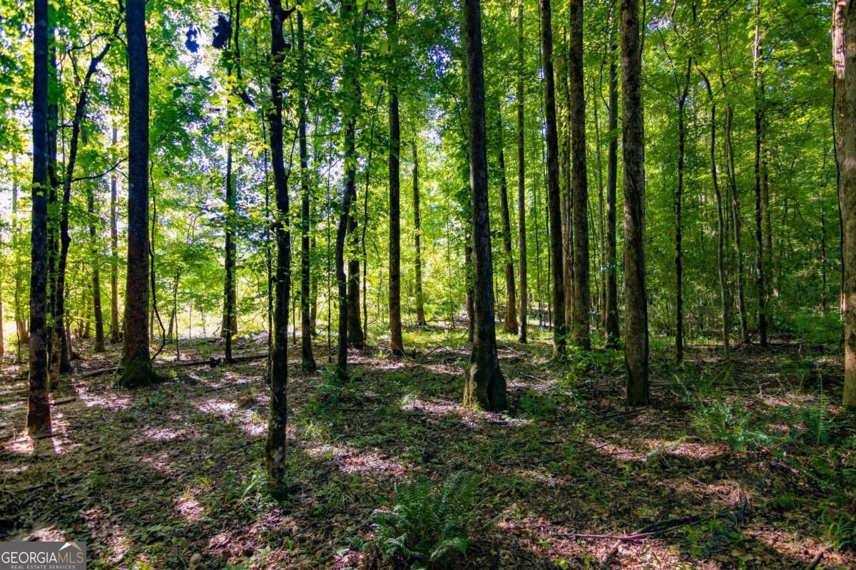 Tract 4 Highway 0036 Woodland GA 31836