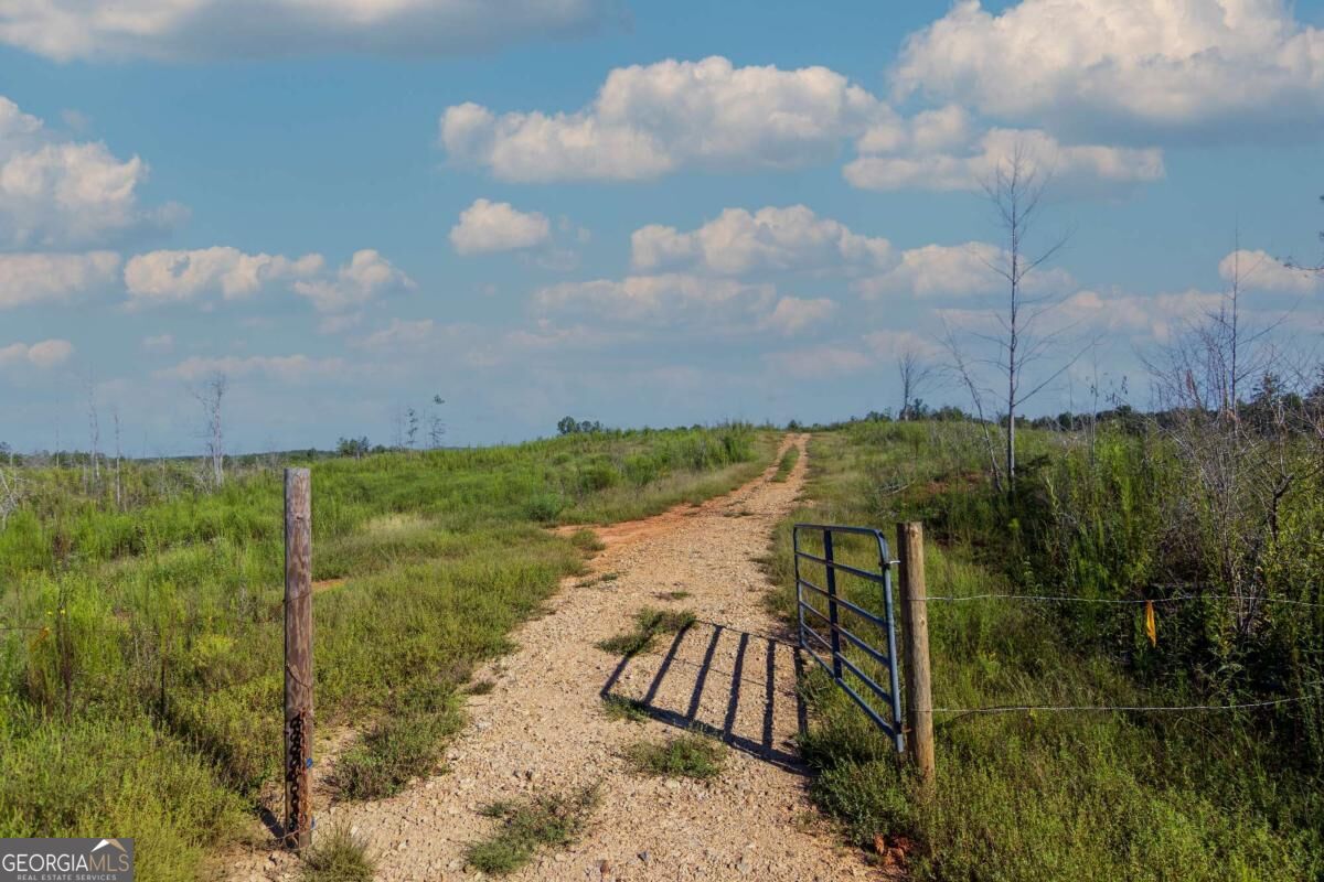 Tract 4 Highway 0036 Woodland GA 31836