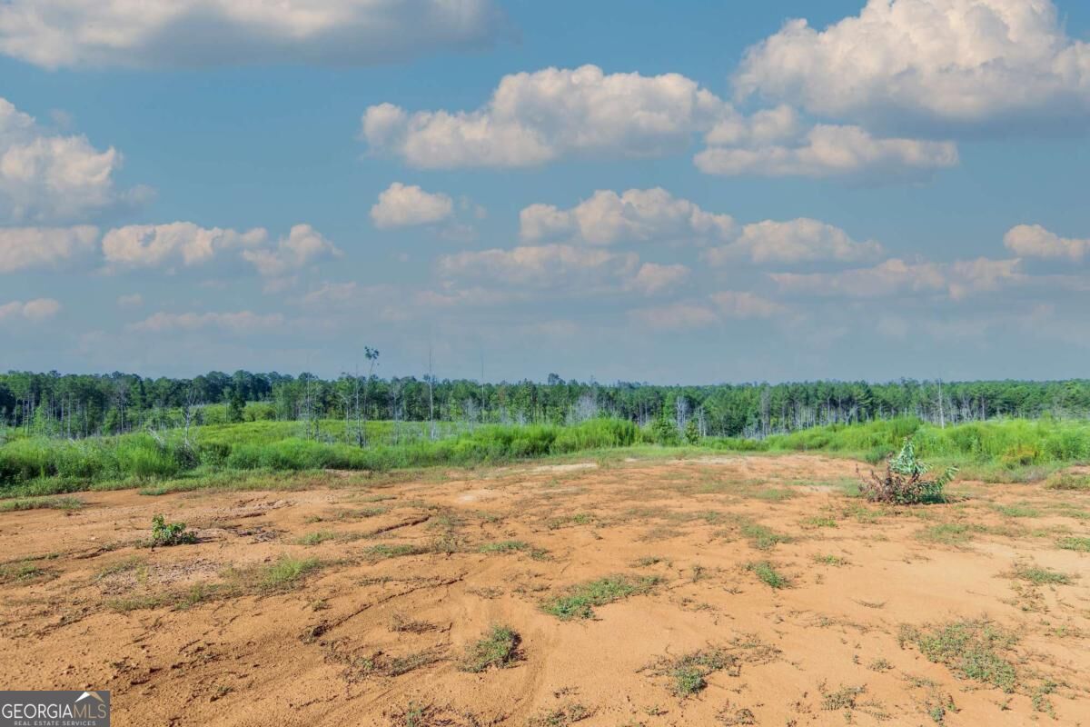 Tract 4 Highway 0036 Woodland GA 31836