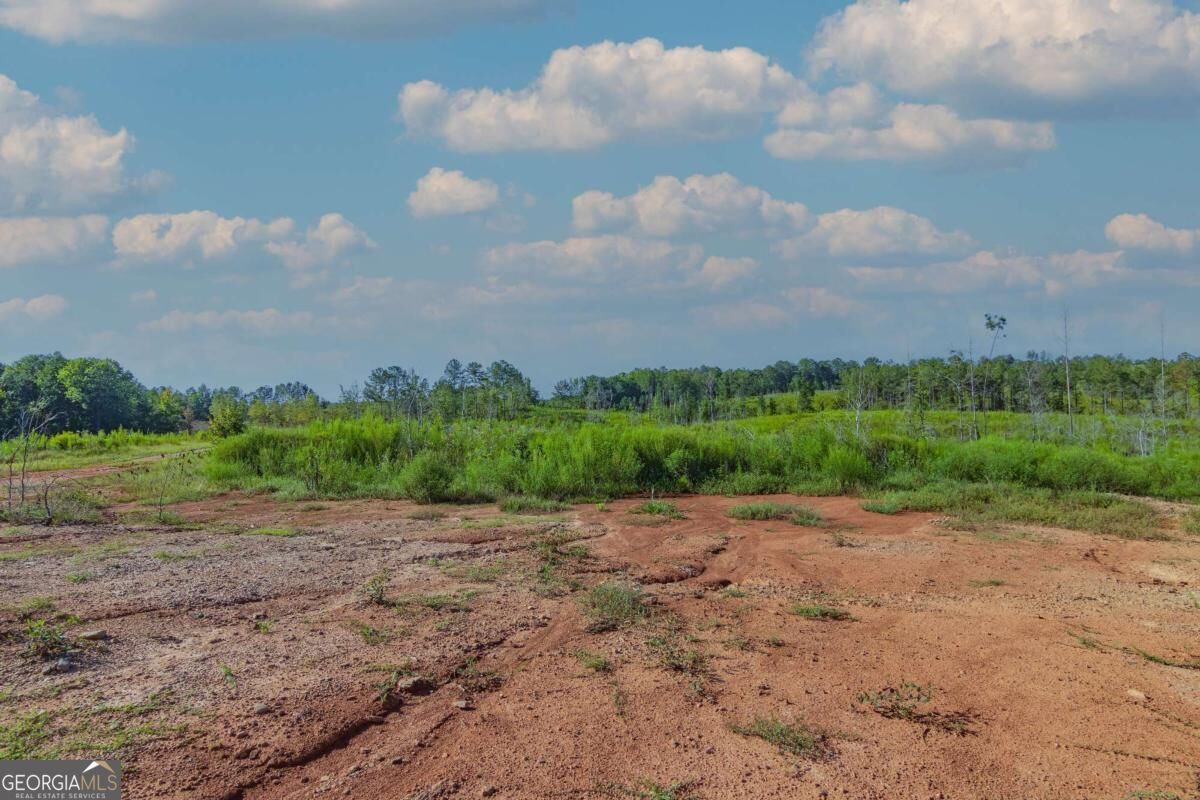Tract 4 Highway 0036 Woodland GA 31836