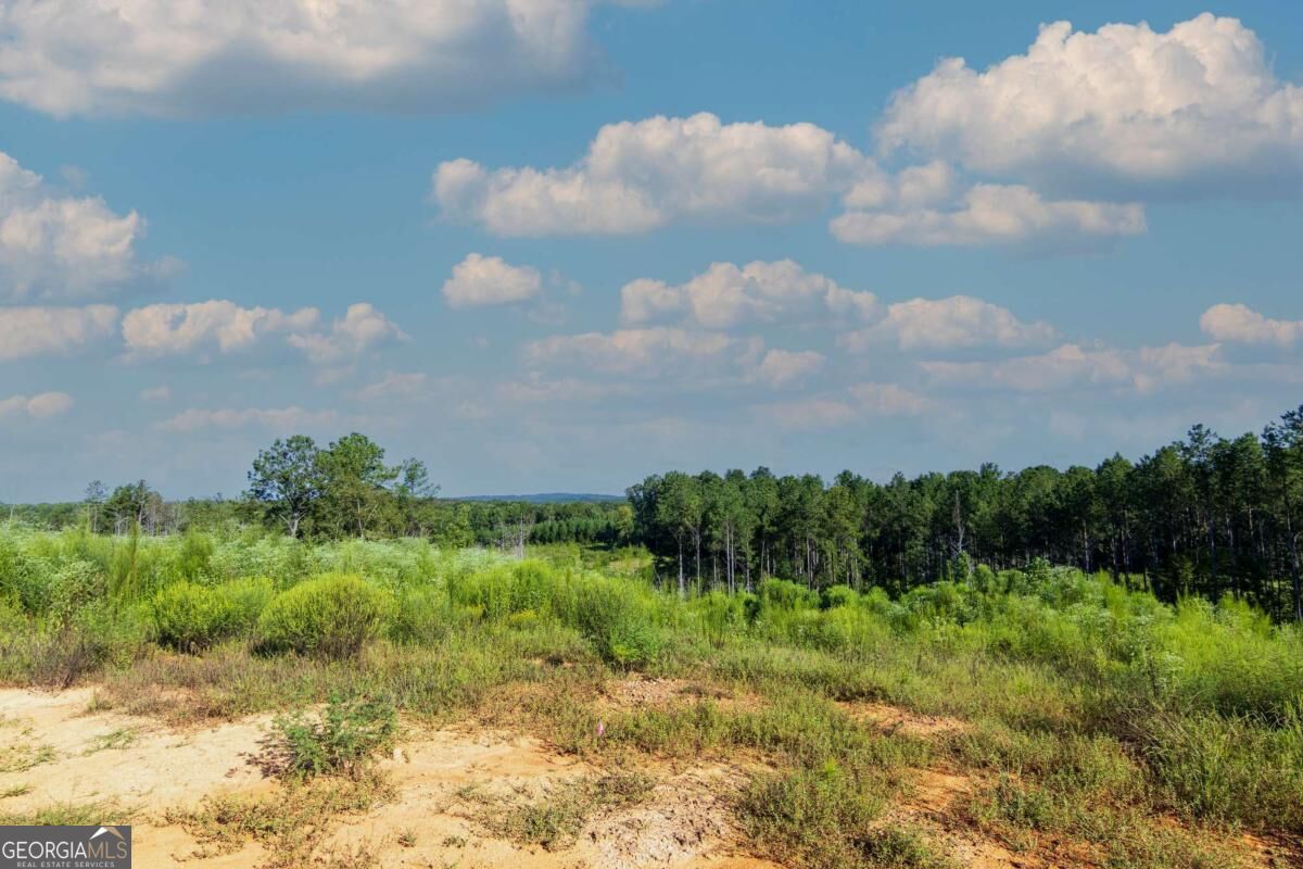 Tract 4 Highway 0036 Woodland GA 31836
