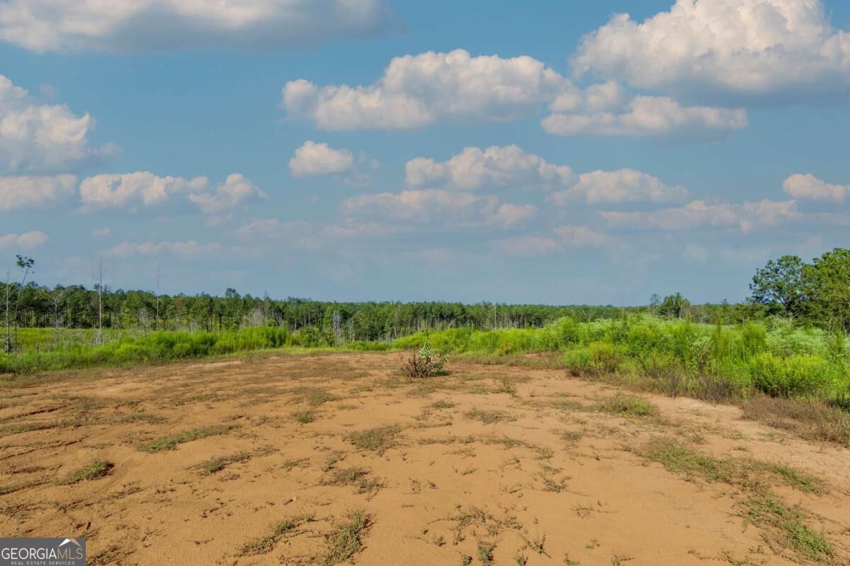 Tract 4 Highway 0036 Woodland GA 31836