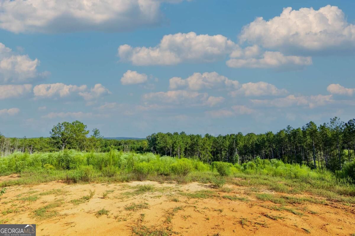 Tract 4 Highway 0036 Woodland GA 31836