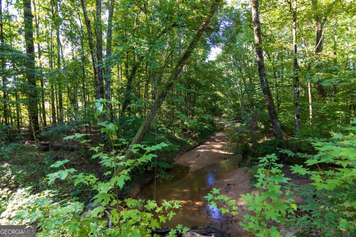 Tract 4 Highway 0036 Woodland GA 31836