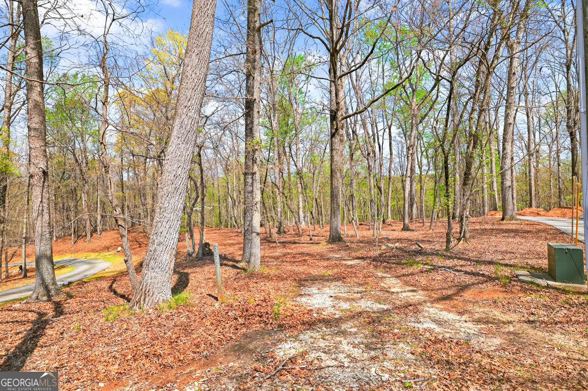 3675 Hidden Pond Drive Gainesville GA 30506