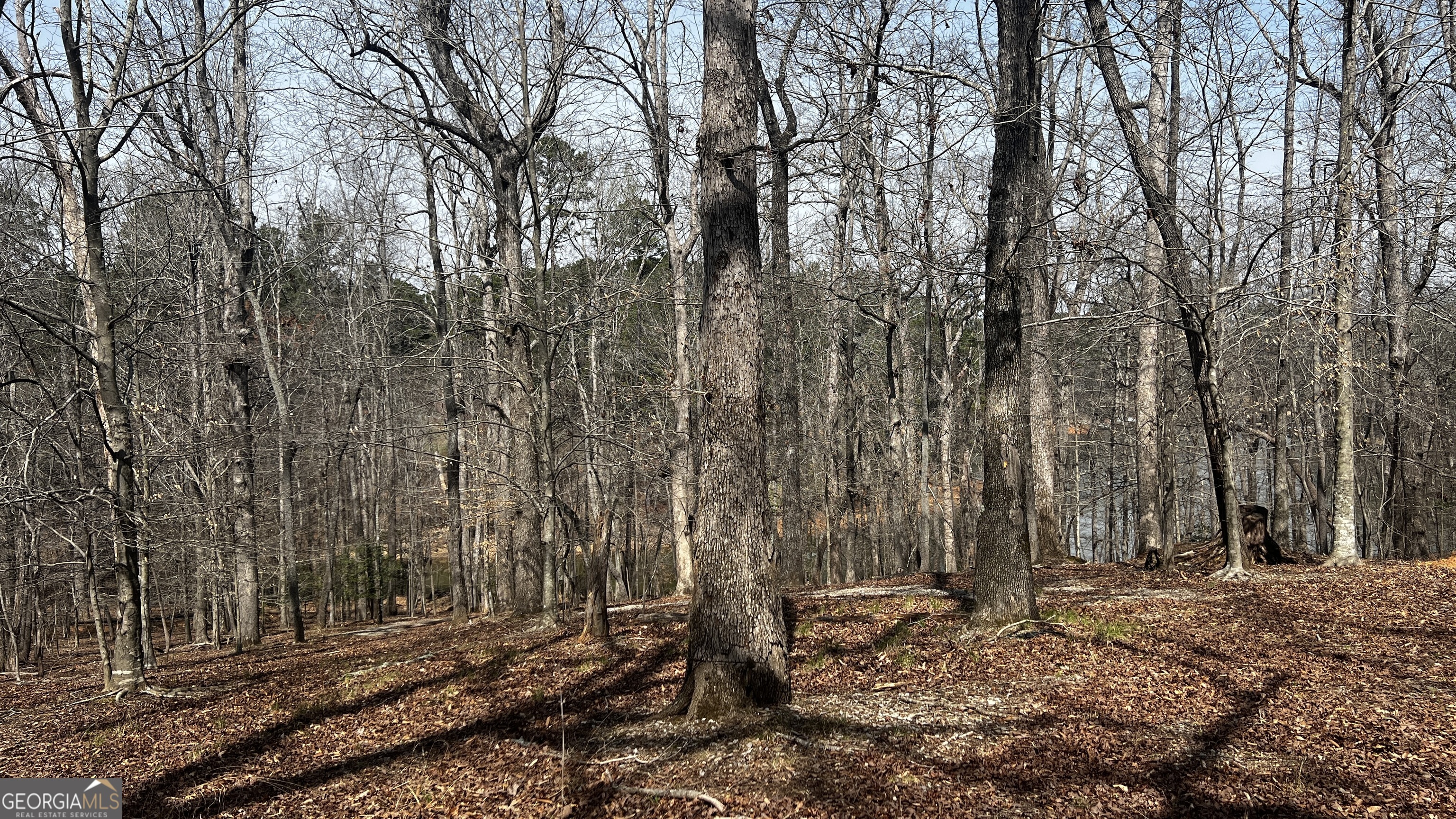 3675 Hidden Pond Drive Gainesville GA 30506